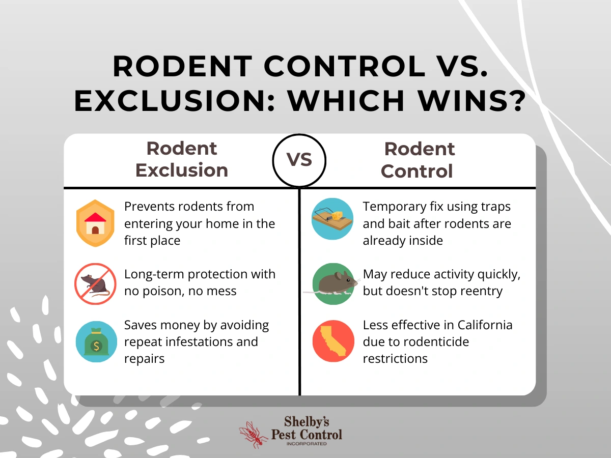 Comparison graphic titled “Rodent Control vs. Exclusion: Which Wins?” showing rodent exclusion as long-term prevention that seals entry points and avoids poison, compared to rodent control using traps and bait as a temporary solution that does not stop re-entry.