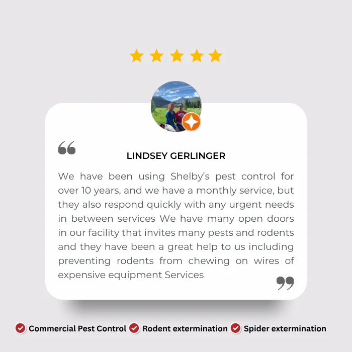 Five-star testimonial card for Lindsey Gerlinger with profile photo, quote about pest control, and services: commercial pest control, rodent and spider extermination.