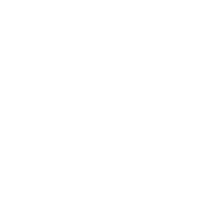 Search button (icon) used to initiate a search