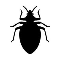 Solid black square color swatch used to show a dark option