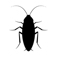 Solid black square placeholder.