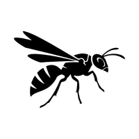 Solid black square decorative element.