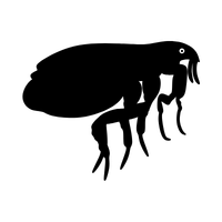 Solid black square (placeholder image) used to indicate no image is available