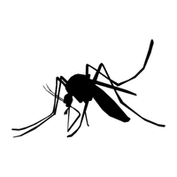 Decorative image: silent black square with no conveyed information (alt text may be left empty).