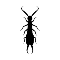 Solid black square image used as a placeholder or decorative element.