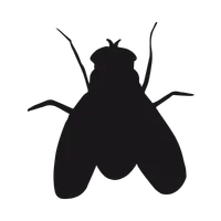 Silhouette of a bat with wings spread, facing forward against a dark background.