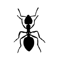 Solid black square used as a placeholder or separator in the layout
